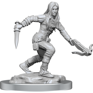 D&D Nolzurs Miniatures - Half-Elf Rogue Females