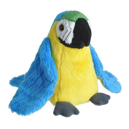 Pocketkins Macaw